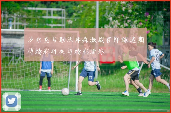 沙尔克与勒沃库森激战在即球迷期待精彩对决与精彩进球