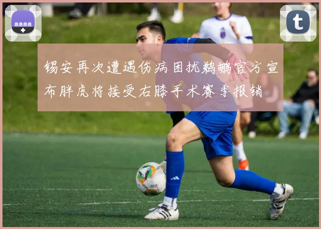 锡安再次遭遇伤病困扰鹈鹕官方宣布胖虎将接受右膝手术赛季报销