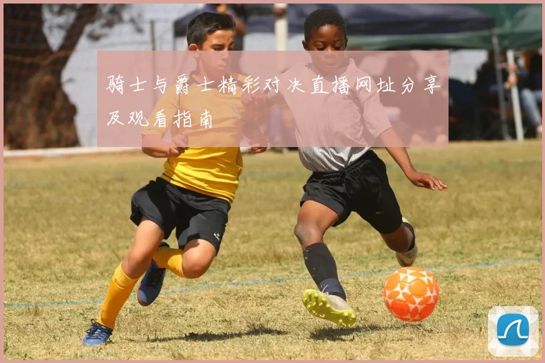 骑士与爵士精彩对决直播网址分享及观看指南